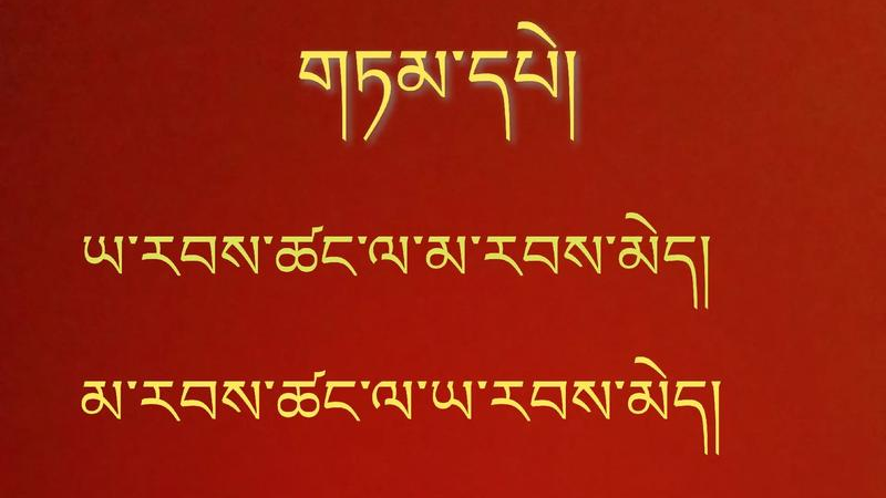 从图像到文本：详解藏文OCR的实现过程与核心技术