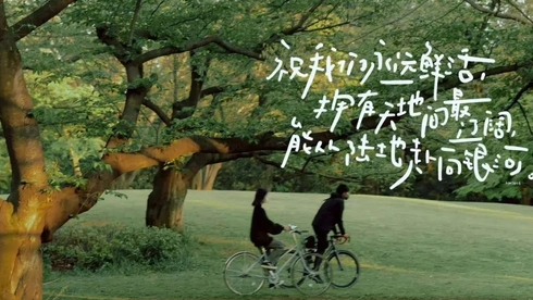 MySQL索引（一）：从数据结构到存储引擎的实现