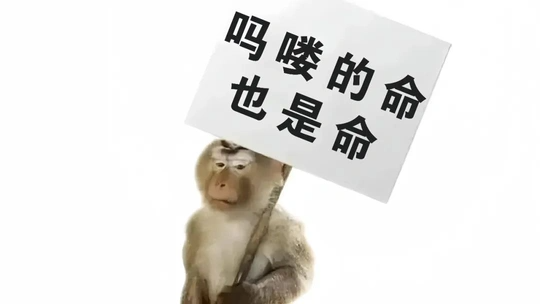 Spring Boot自动装配实战：多数据源SDK解决Dubbo性能瓶颈