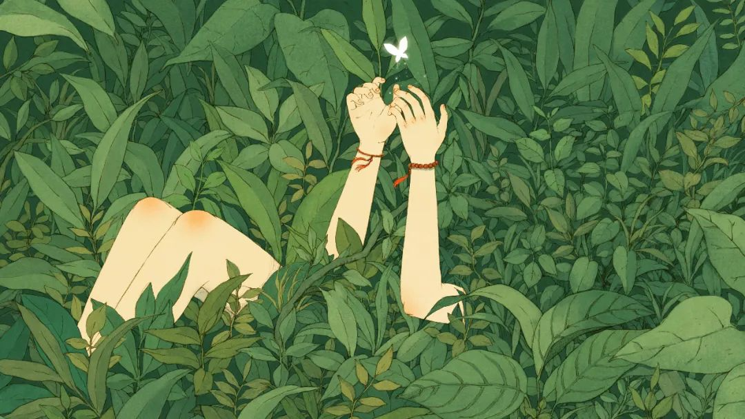 Redisson 使用手册：从 API 误区到看门狗失效，在此终结分布式锁的噩梦