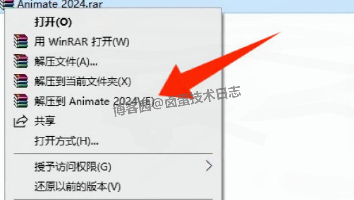 AN 2024 下载安装全攻略：从下载安装激活配置到使用，新手也能快速上手【附一键安装包下载】