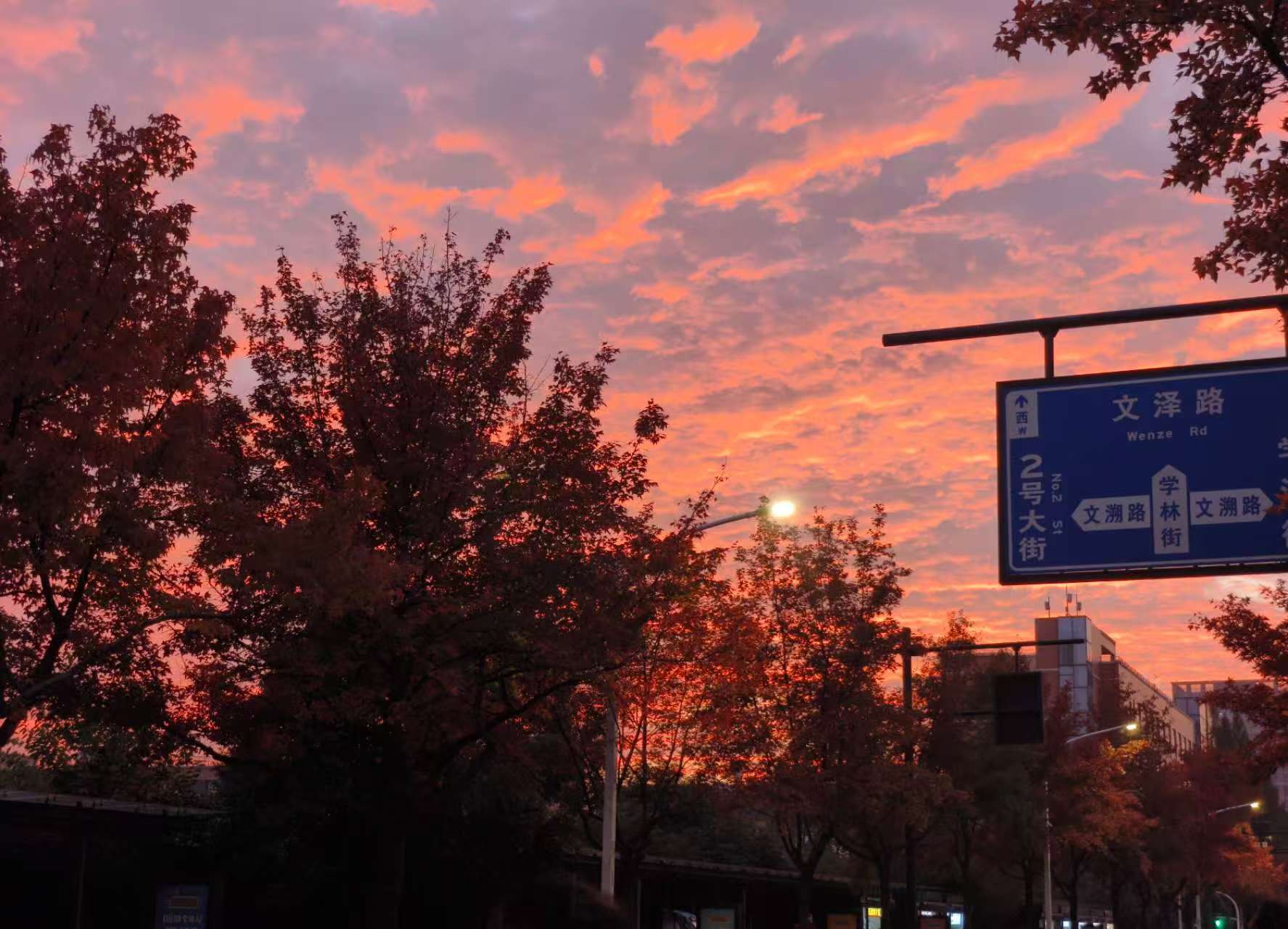 a7d83c4fd506b58599acfde869a5880f