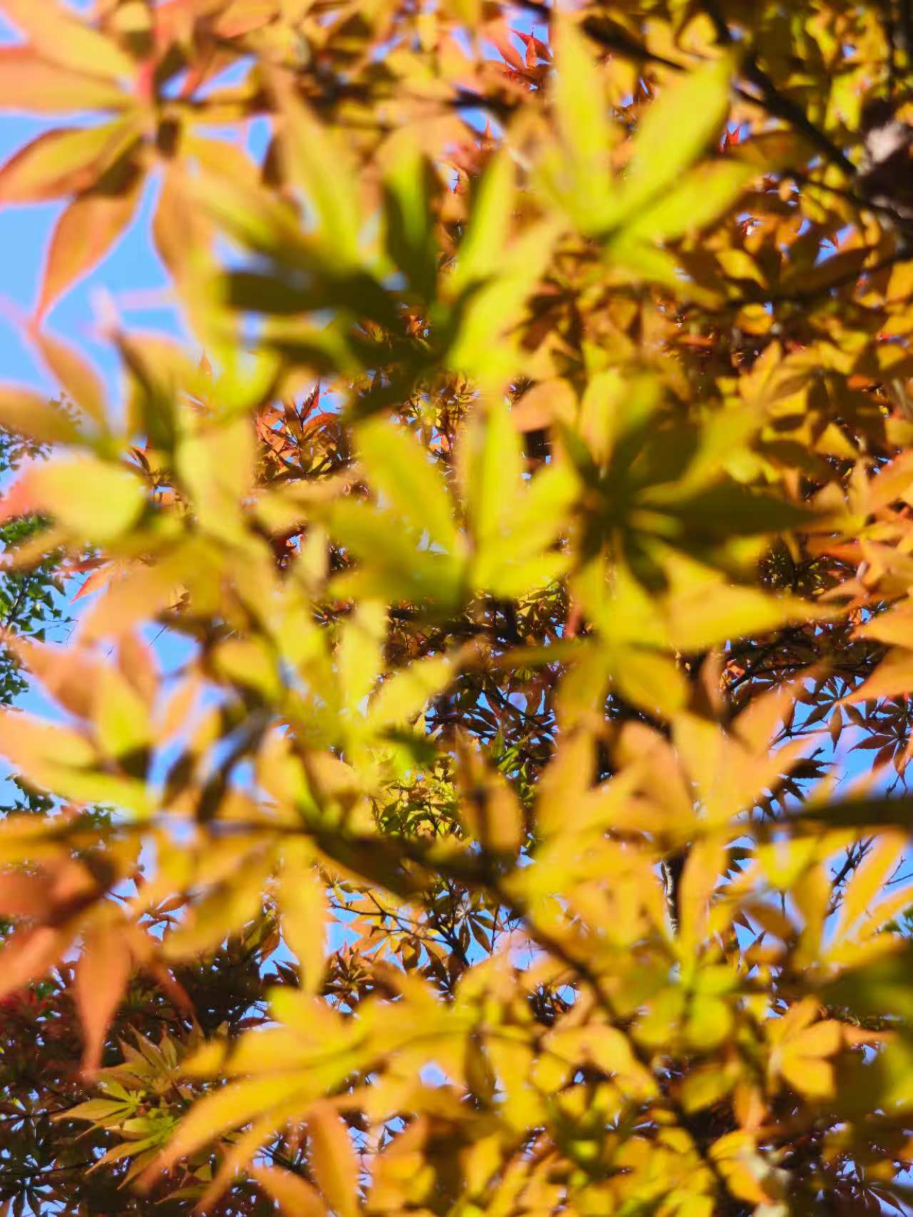 d6e54f68896475633ed7814b03a6c0d0