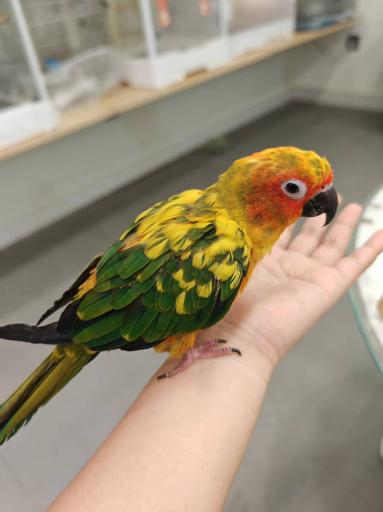 _cgi-bin_mmwebwx-bin_webwxgetmsgimg__&MsgID=7977241217773083243&skey=@crypt_b2b33ea4_a4763fbd3f398fca11fad72f9b4c77b1&mmweb_appid=wx_webfilehelper