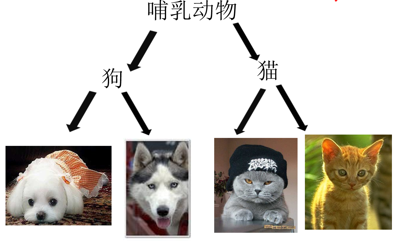 哺乳动物的继承关系图