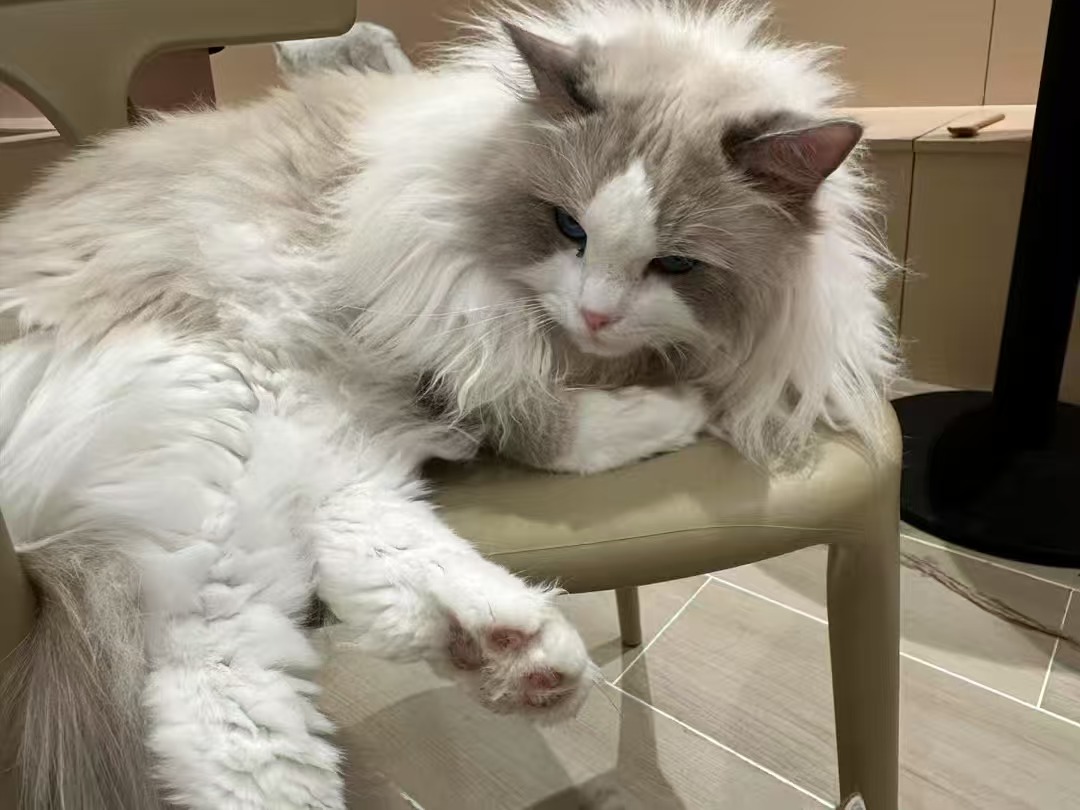 微信图片_20251007023512_59_52