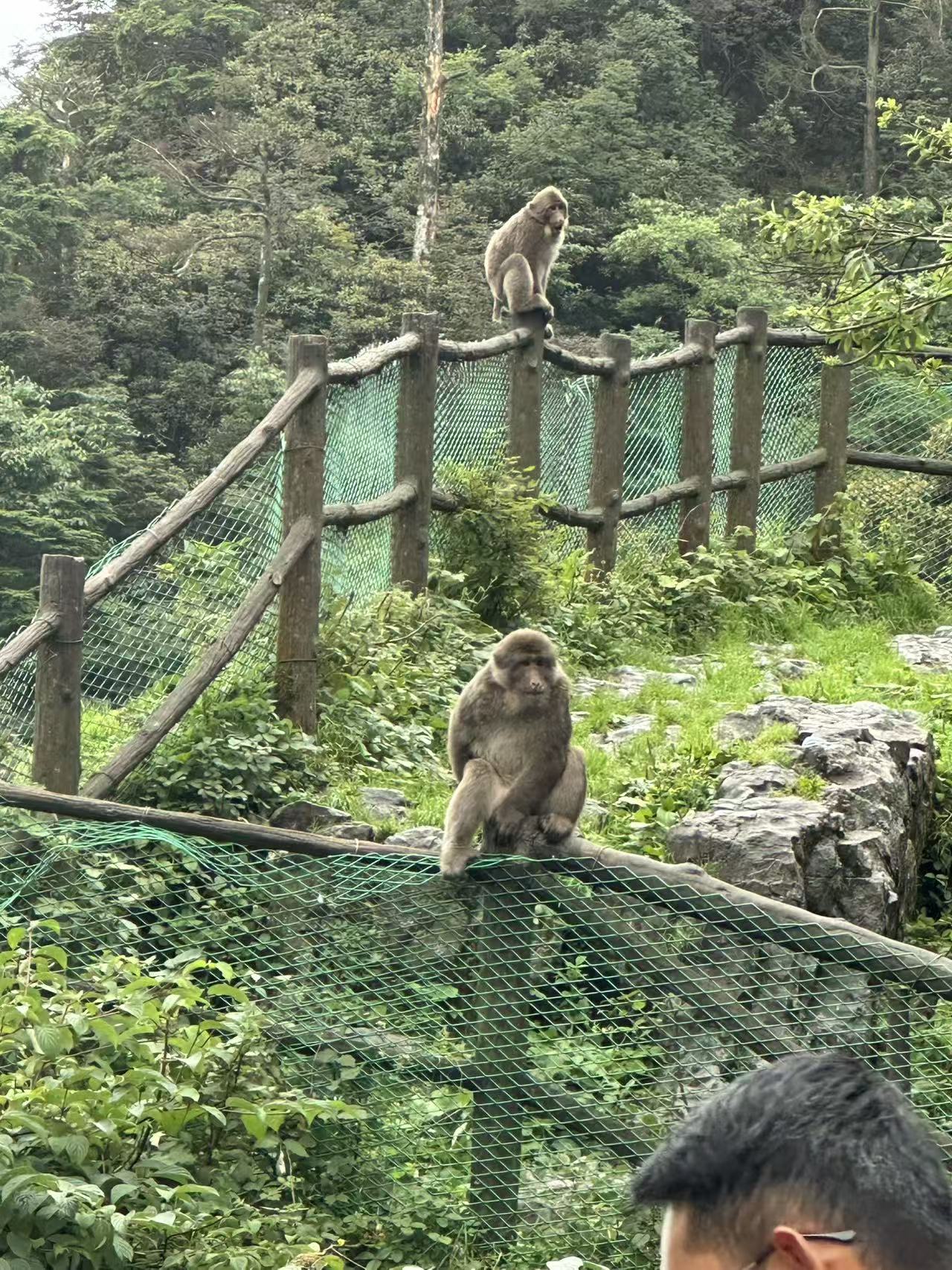 4aa434c15c3a27d621ddc13fd7d723fd