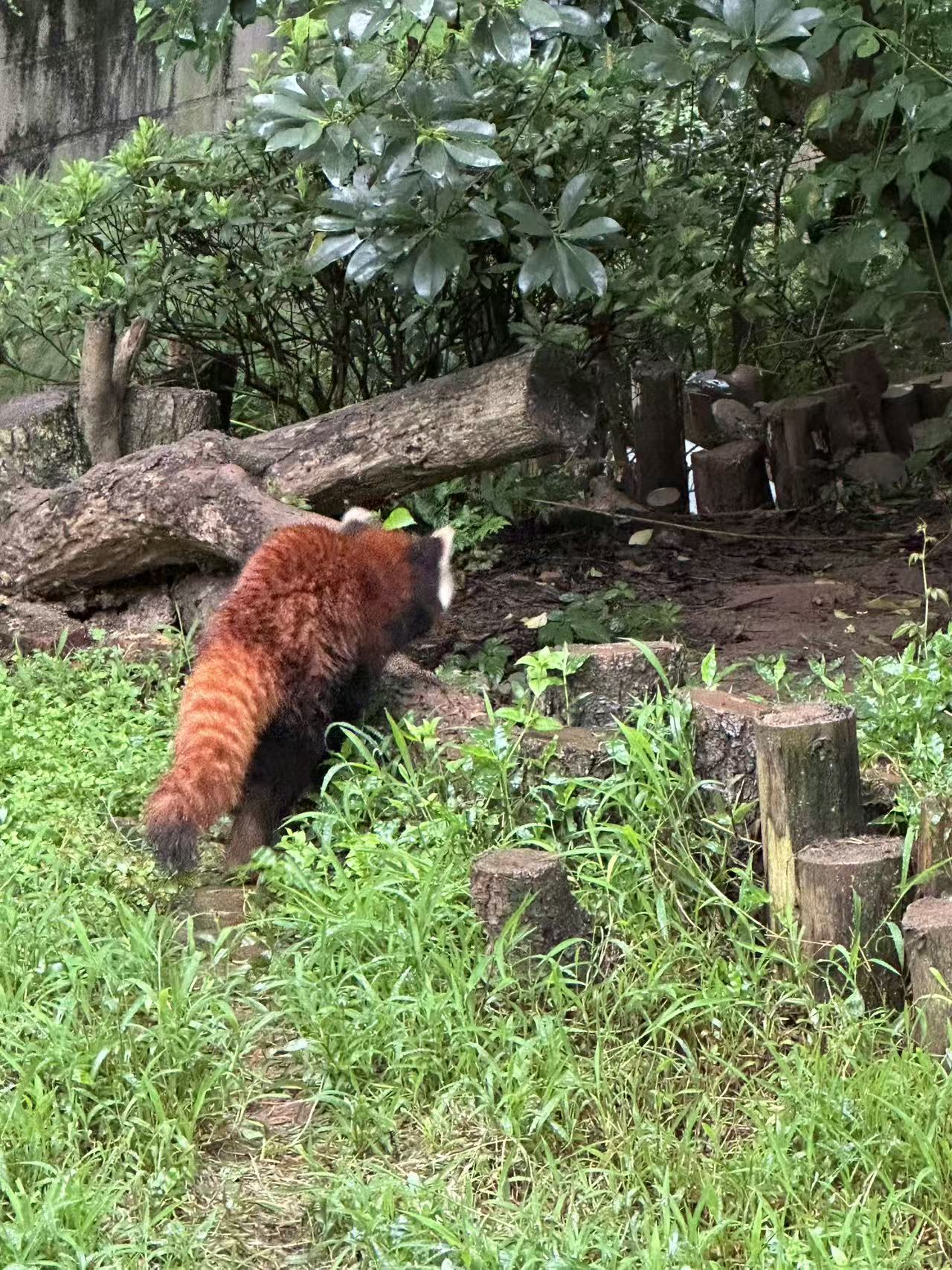 29f584d4220a82ee90288fe34bd074a5