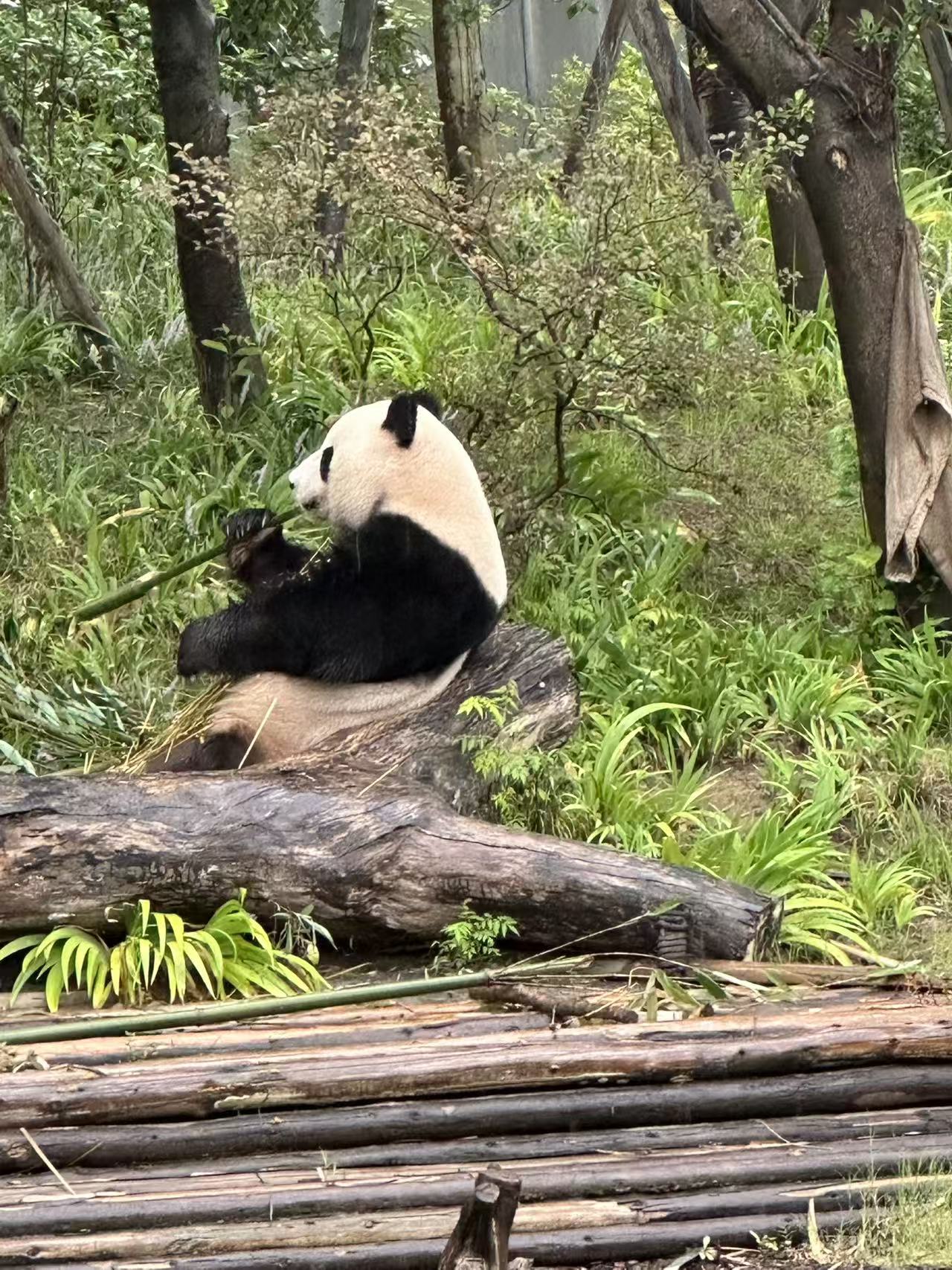 849fd7b011071ef2cba2978b32598d66