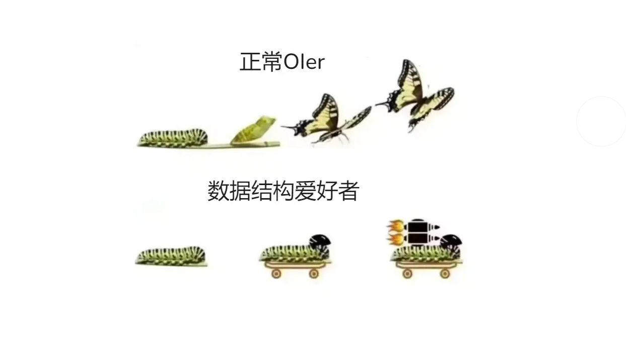 数据结构进阶总结