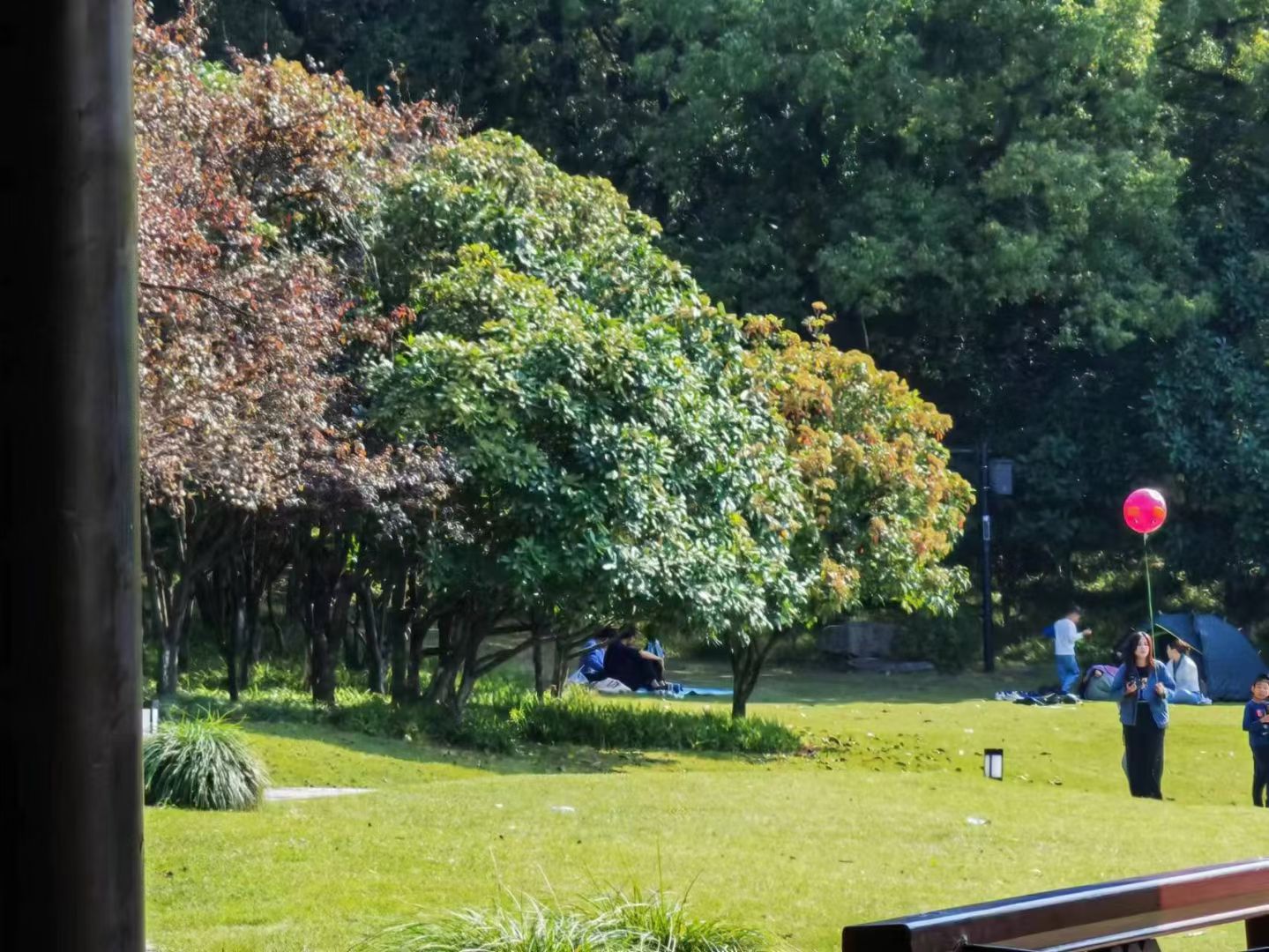 mmexport1760071407556