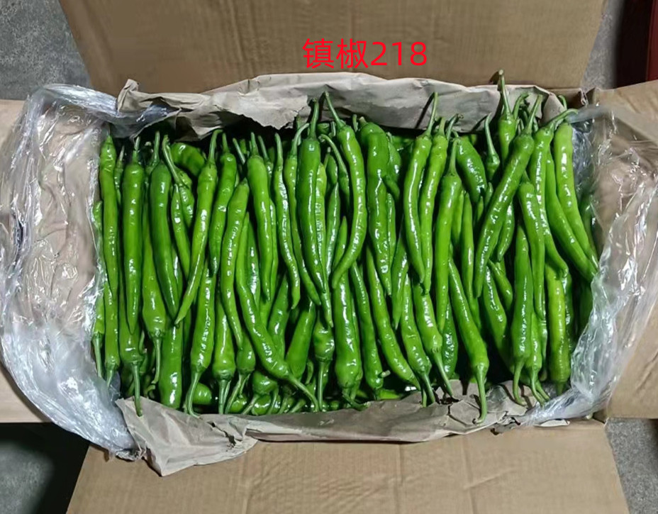 种植技术指导场景