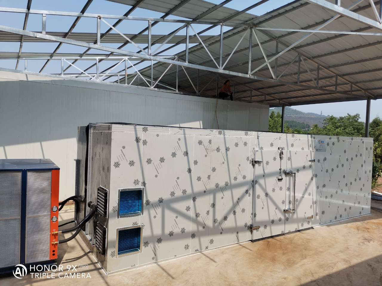 果蔬烘干效果对比图