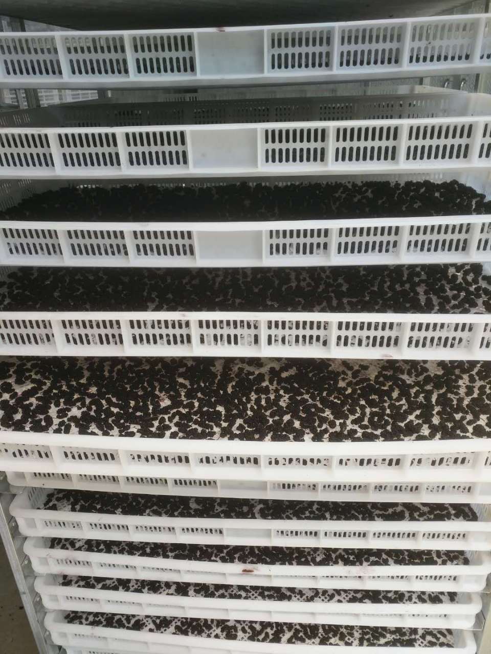 烘干房内部结构展示