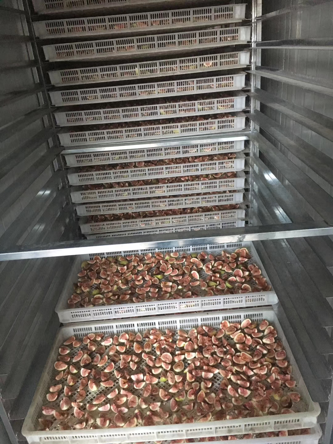 烘干设备能效对比图表