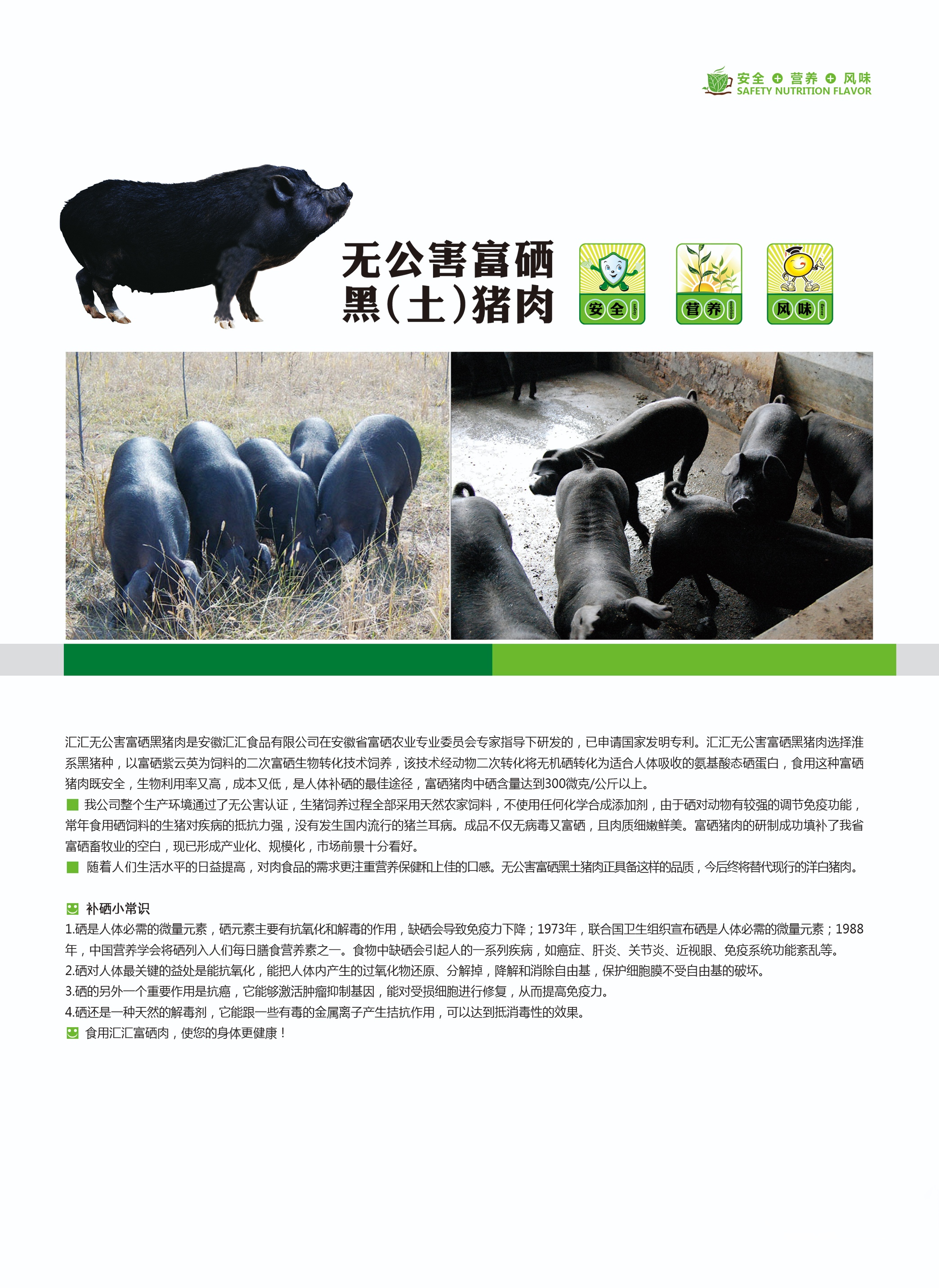 速冻肉制品展示