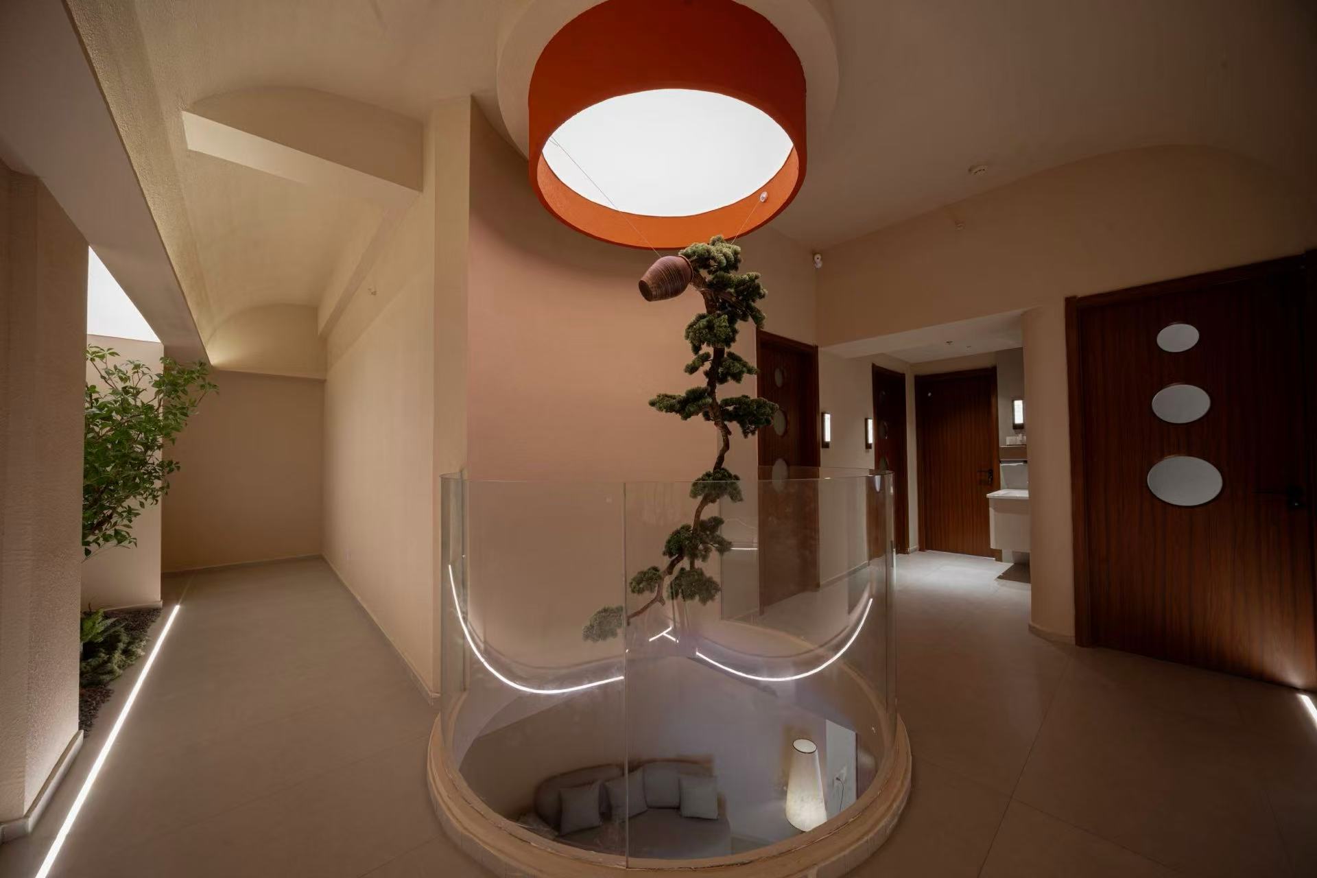 个性化服务方案