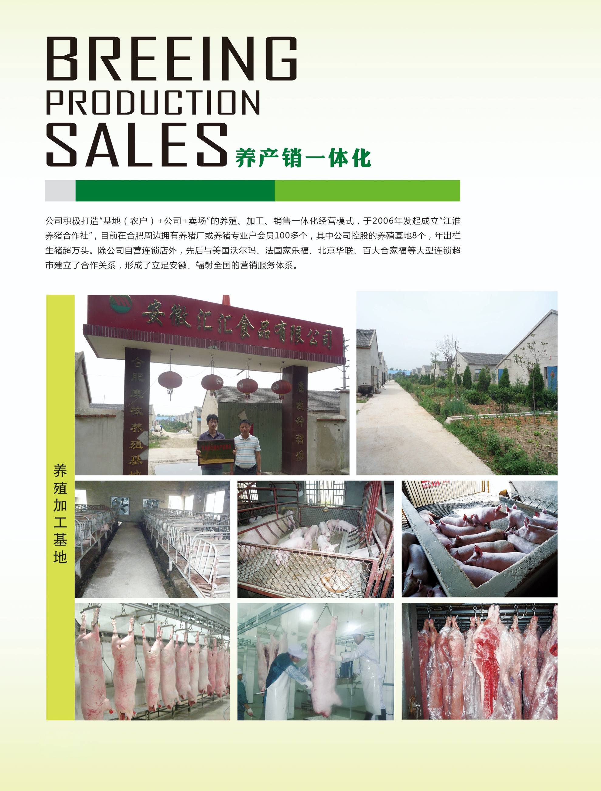 2025年合肥猪肉批发供货商口碑排行：优质合作伙伴精选指南