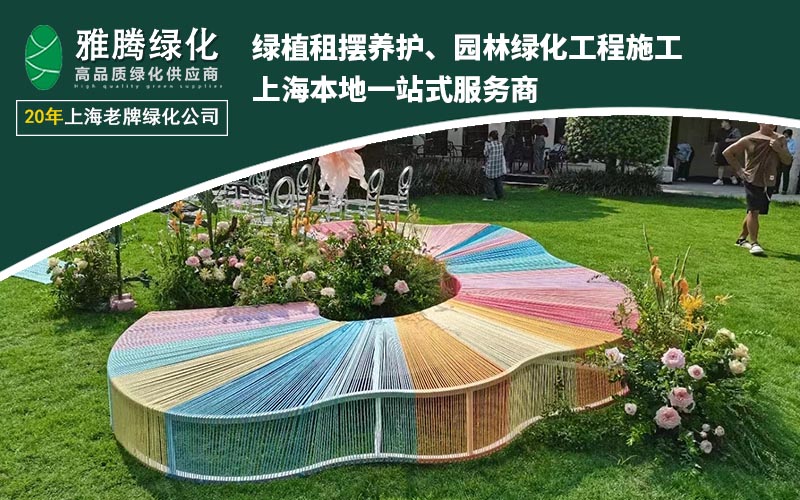 室内植物搭配示例