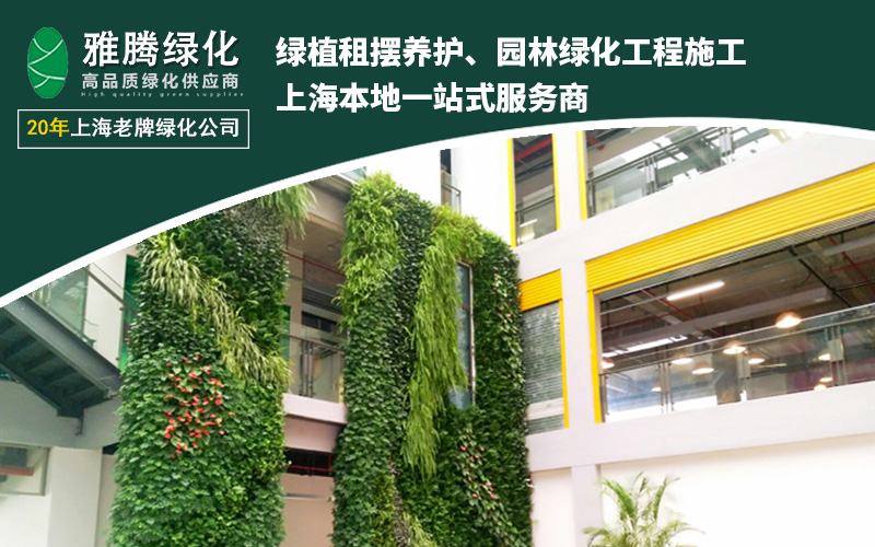 上海雅腾绿化服务展示