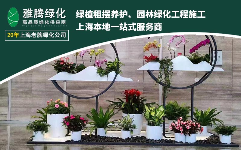 绿植租赁场景示例