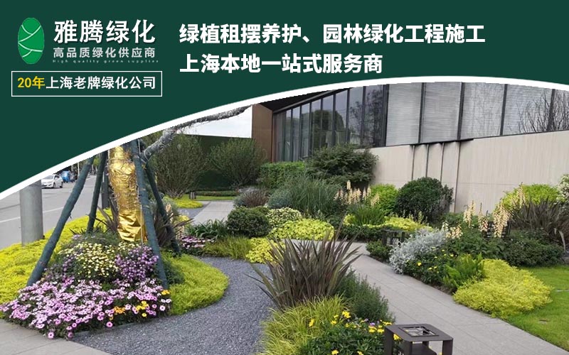 绿植养护工作现场