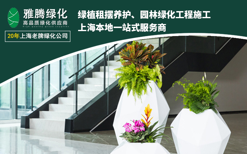 绿植租赁技术架构