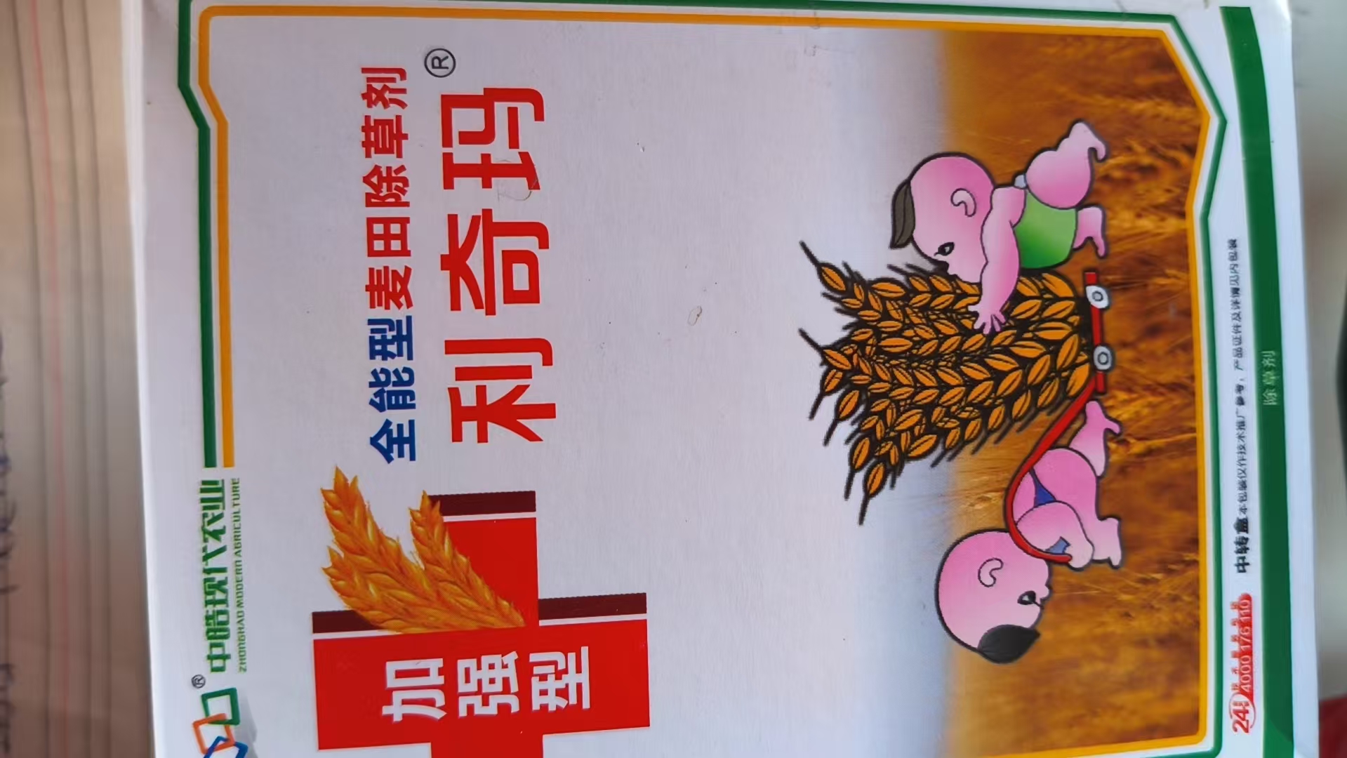 花生种子厂家可靠性排行：2026年初至今精选