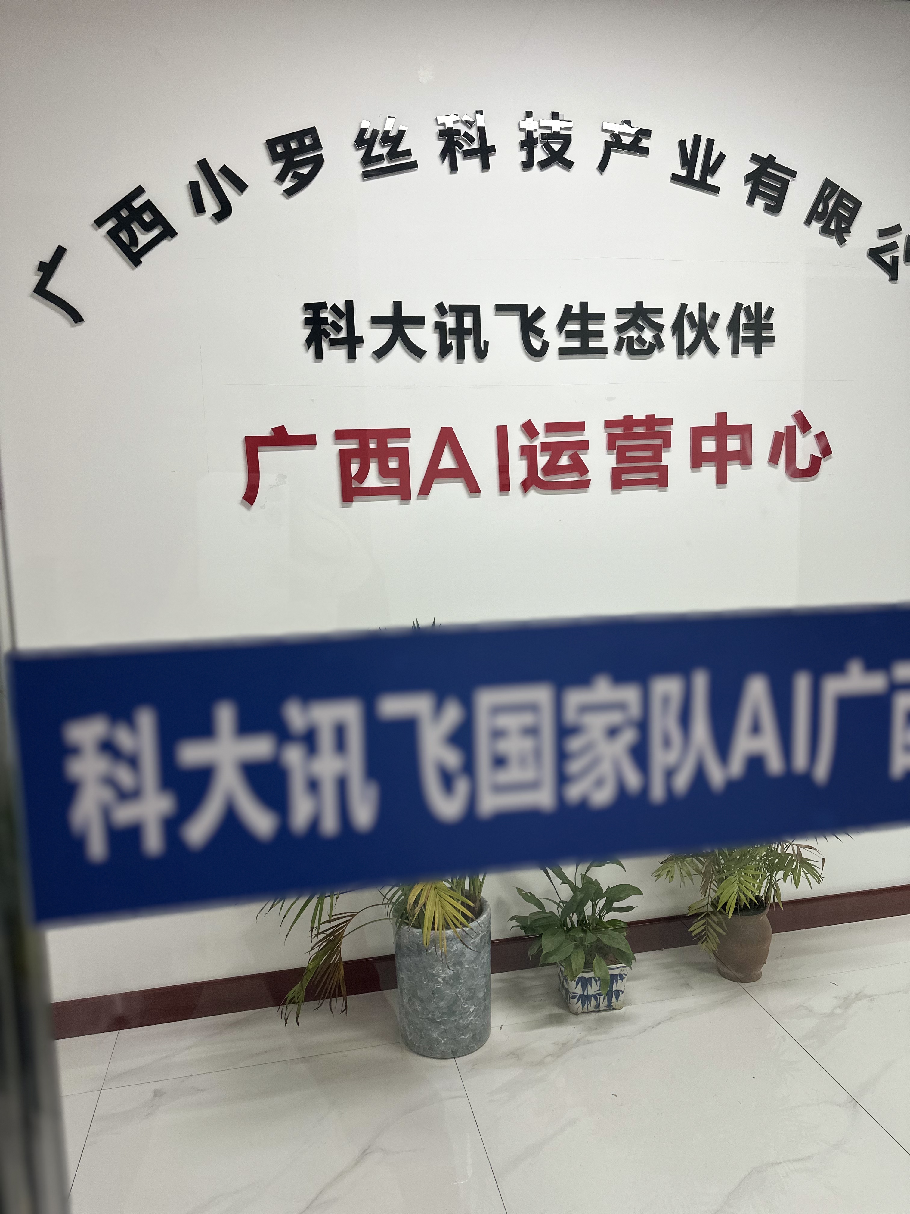 不同规模企业AI获客战略重心示意图