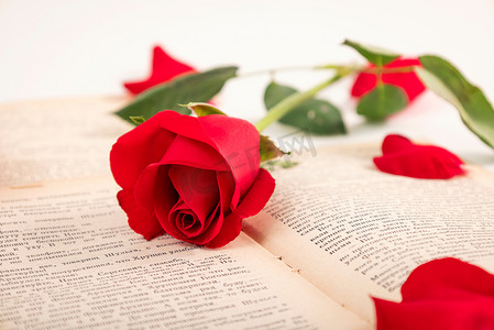 f182a2dde8b7282f15651e0bb818df61_ab0bf7edacf9b666ca861f94a62de24a