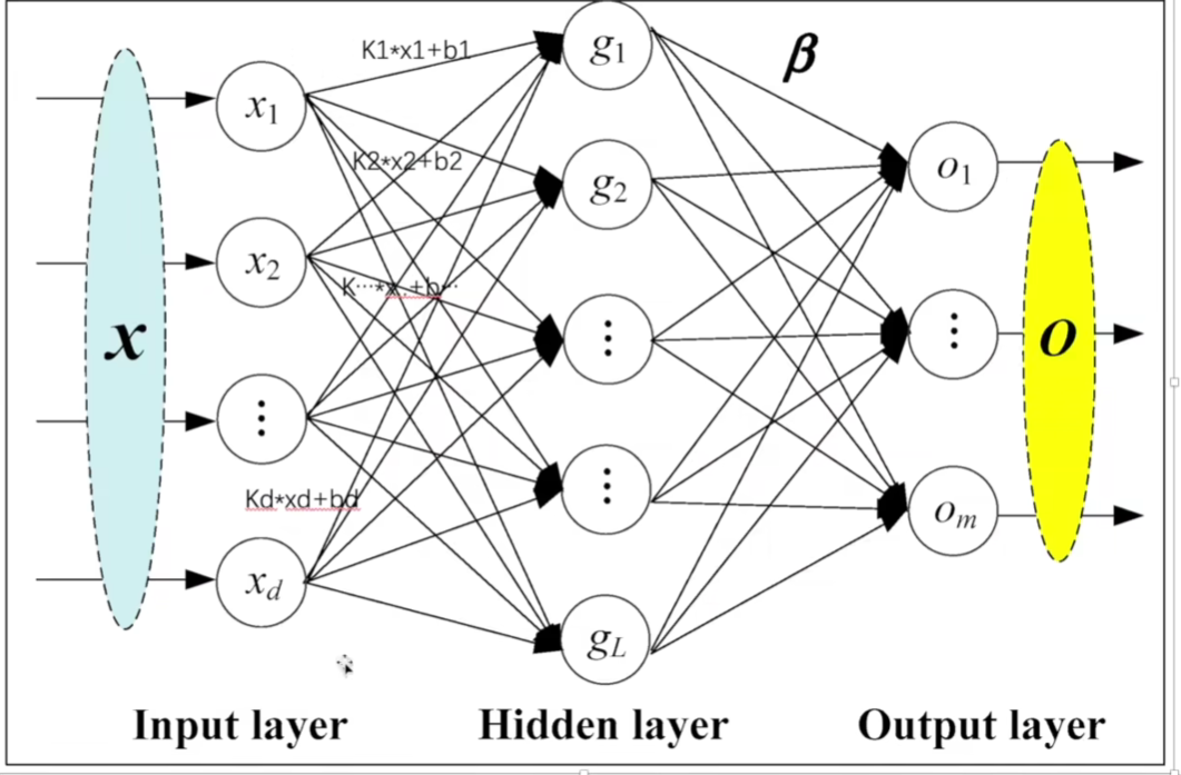 P20_线性层的参数features和bias