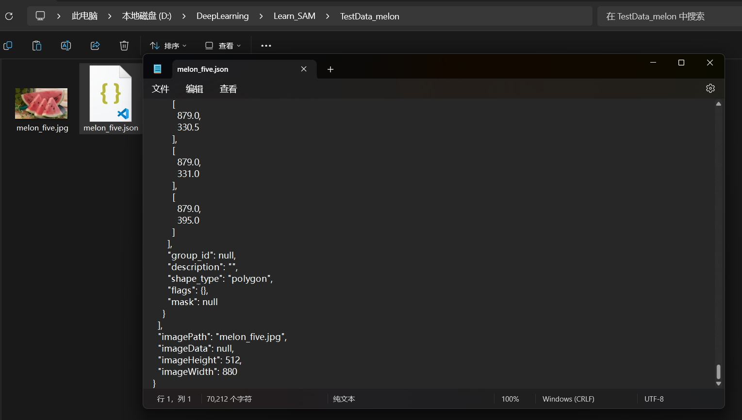 P2_标注melon_five对应的json文件的正确ImagePath路径