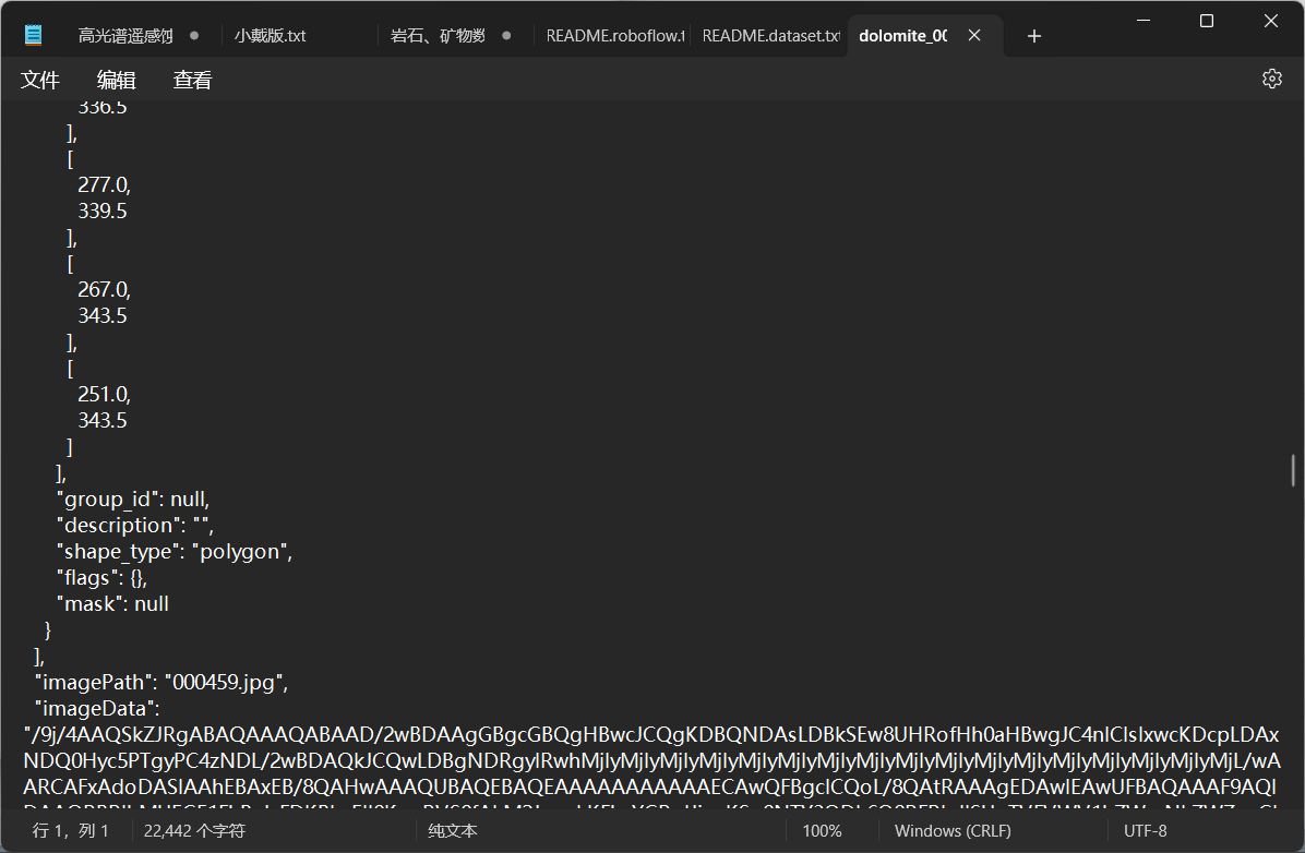 D1203_标注的第一张dolomite岩石的json文件的imagepath名字正常