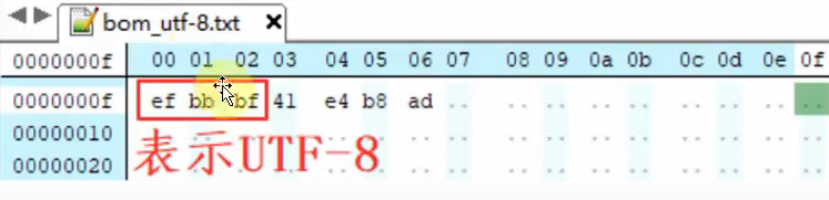 image-20260125233109896