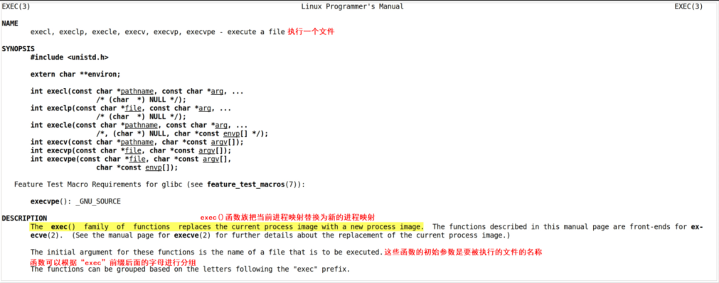 image-20260129184204869