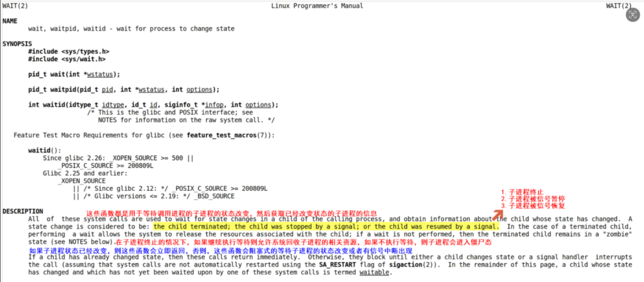 image-20260129184102205