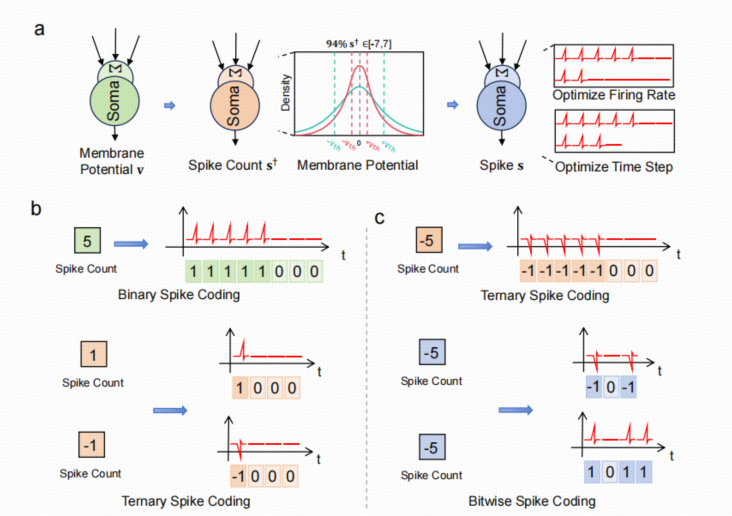 三种脉冲化编码方案图片