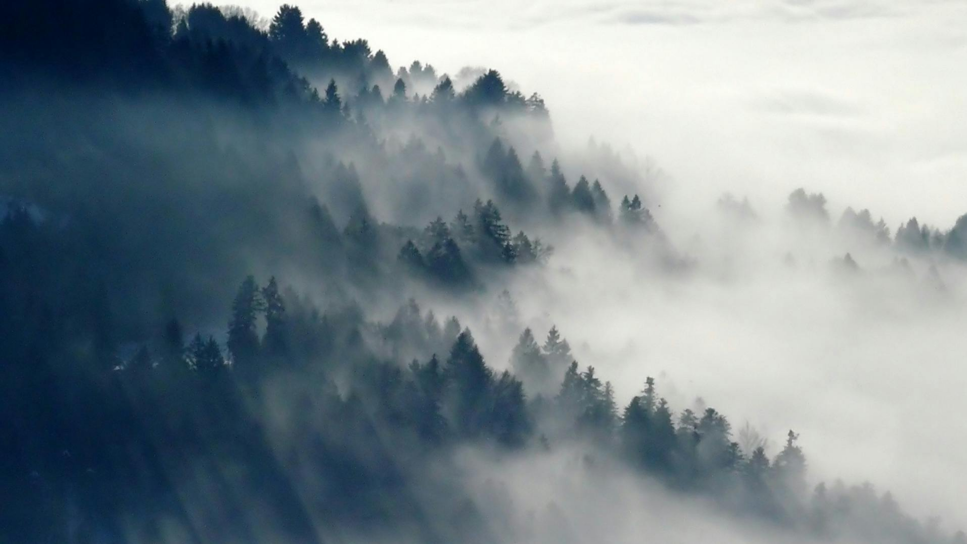 宝塔Linux部署 一个基于uni-app 系统指南