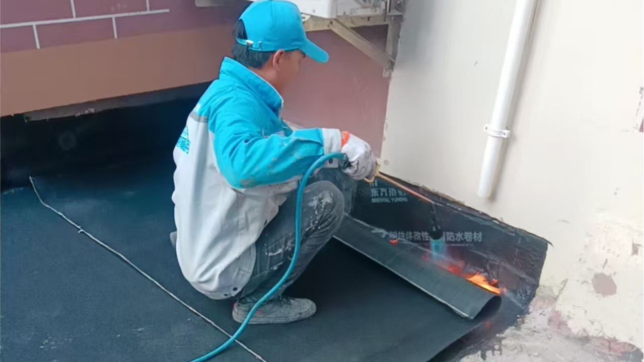 2025年上海防水补漏谁家强？长三角标杆企业与区域强者综合排名揭晓