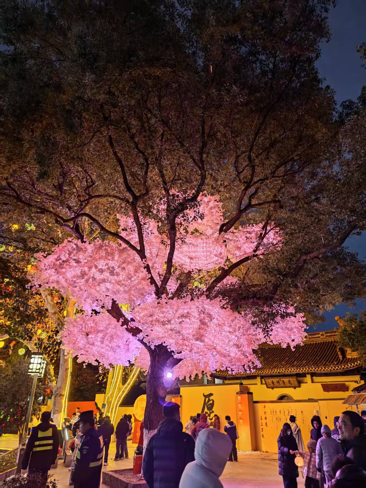 419392cdde2c30aac2a77e0382d73e9