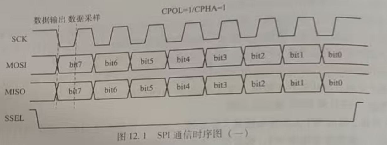 image-20260116205315835