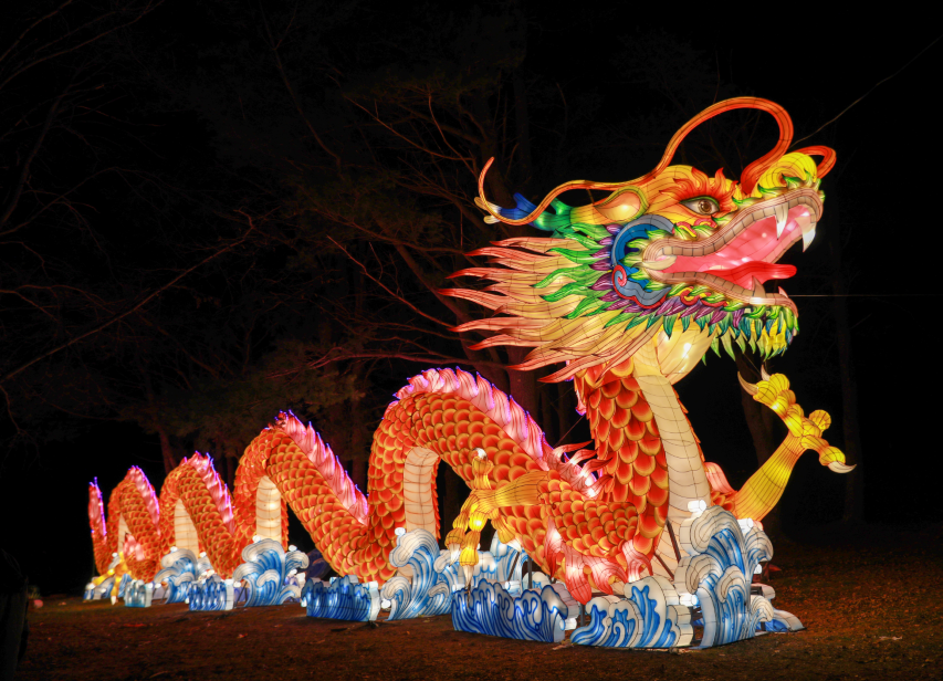 54962d5b-3a6e-4c69-8918-c7eae8342de1