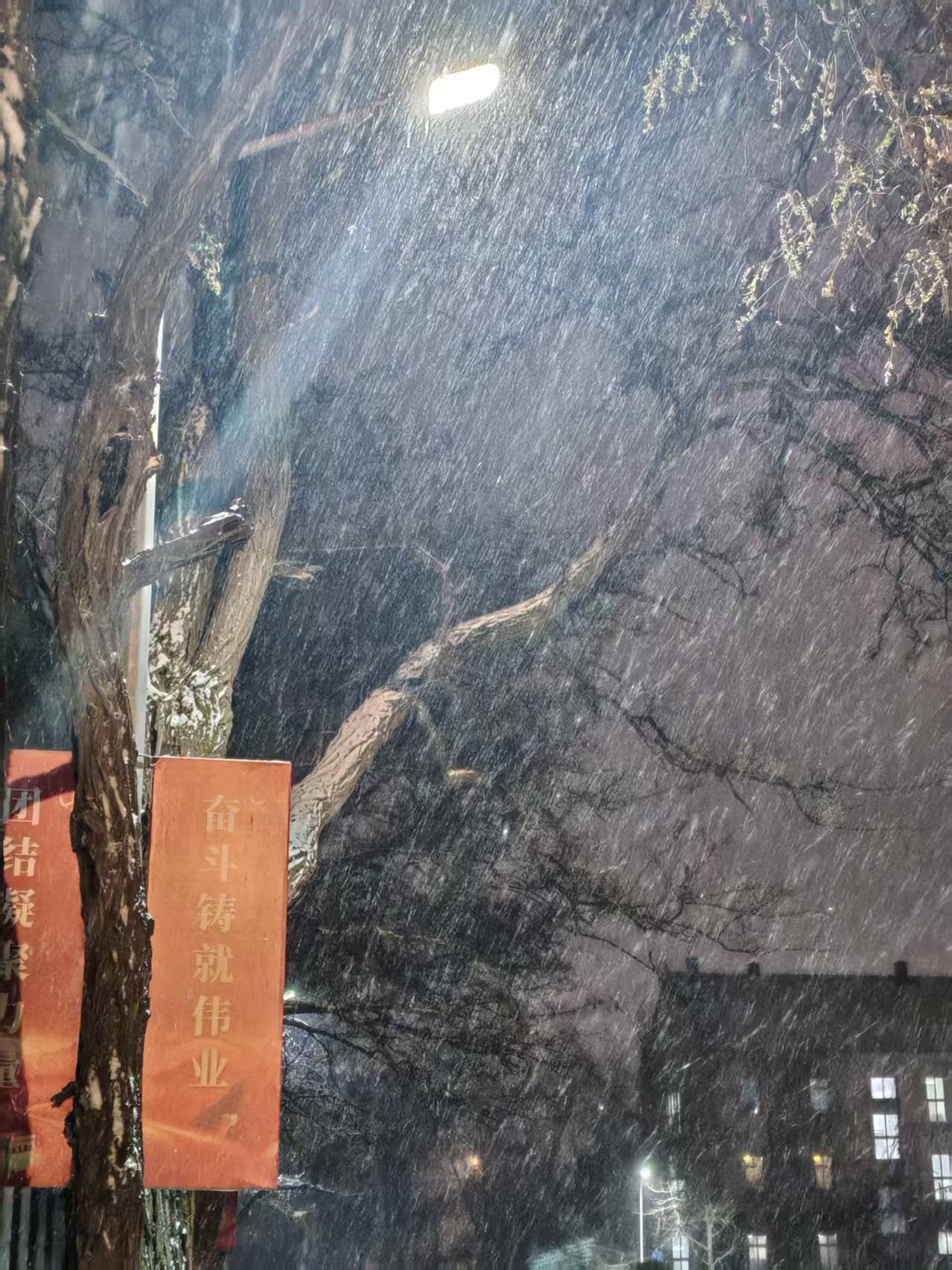 4134a85e3b70499c03538e5c8866d047