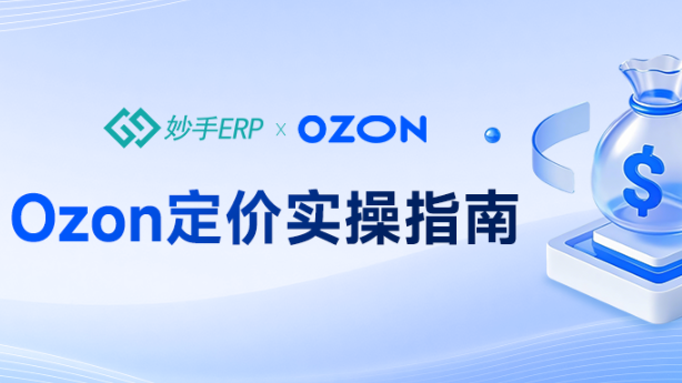 Ozon定价策略及定价公式分享，精准守住每一份利润！