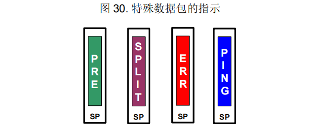 图 30. 特殊数据包的指示