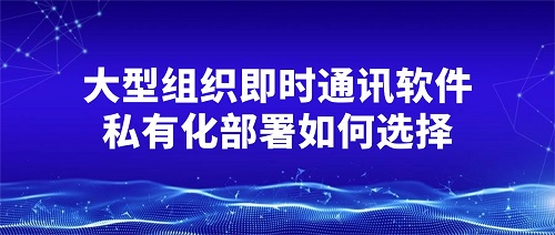 大型组织即时通讯软私有化部署如何选择