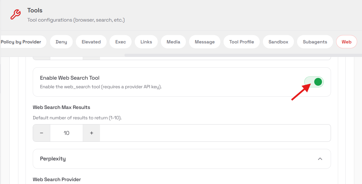 开启联网搜索支持