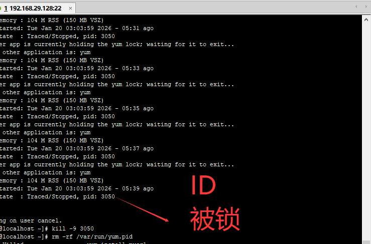 d606bd0786bbea4798add88670967520
