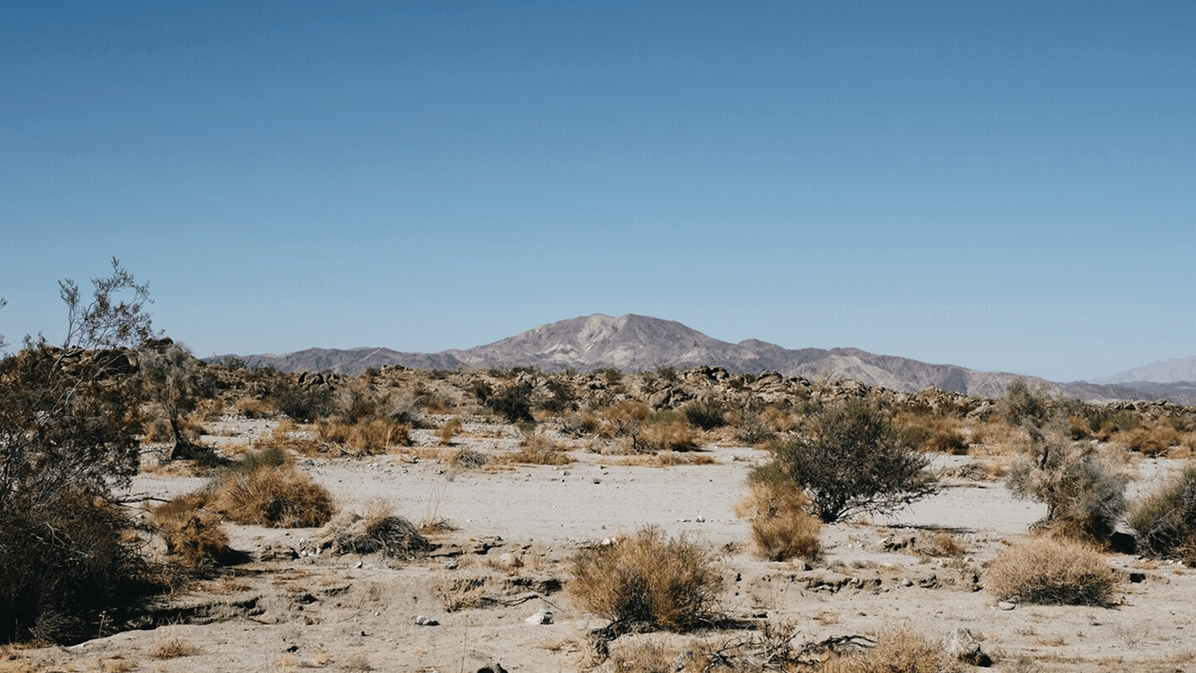 2026年AI大模型API中转平台深度测评：88API、OpenAI官方、其他平台全方位对比