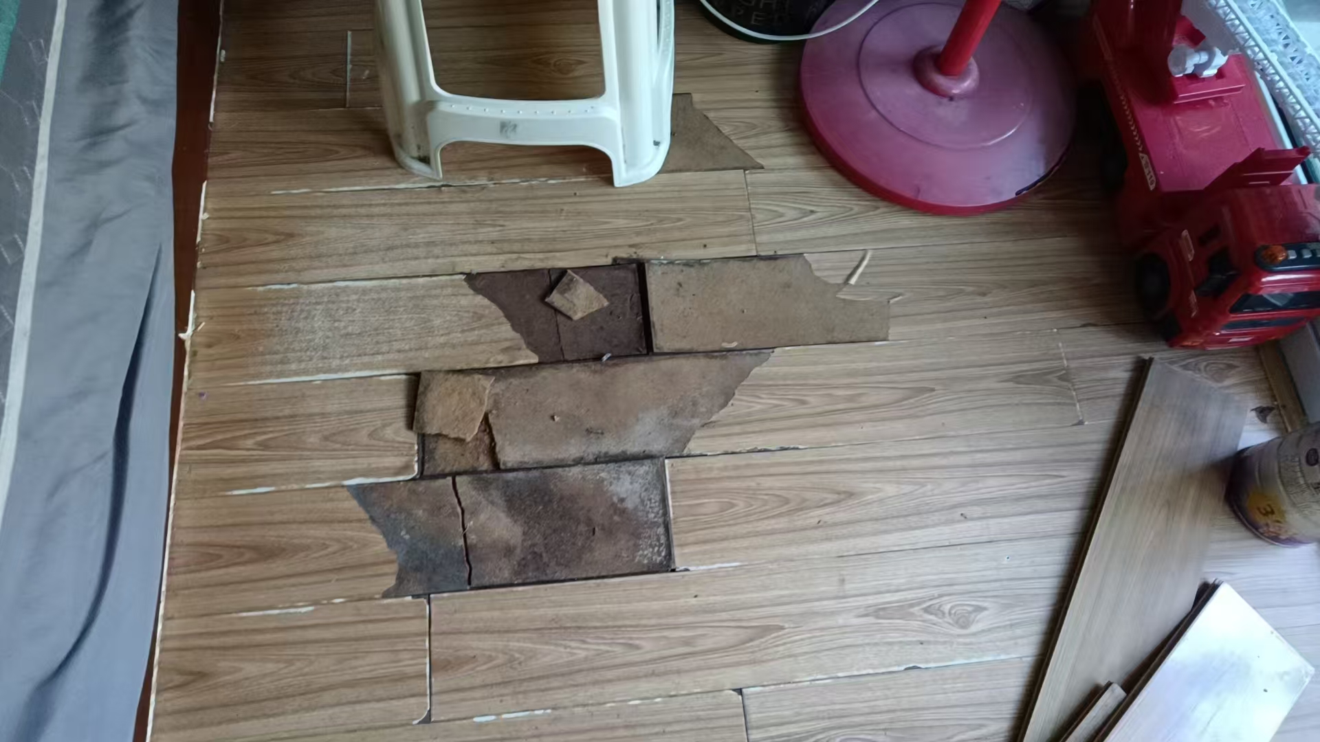 b55aed6fd90bd3e6873341bb38055bed